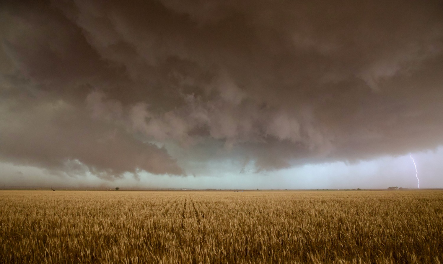 Stormy sky over meadow. Photo credit to Steve Gribble at Unsplash.com